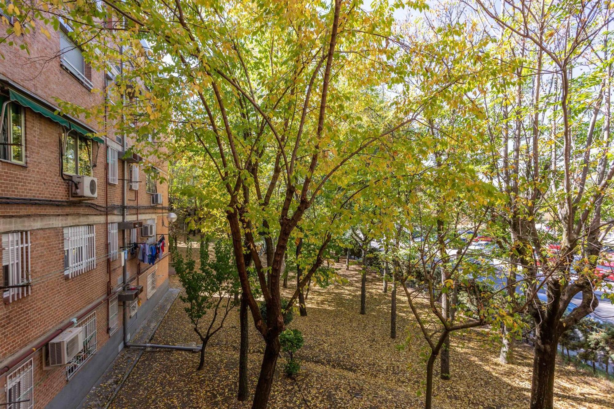 Apartamento 3 Habs Madrid Az10 外观 照片
